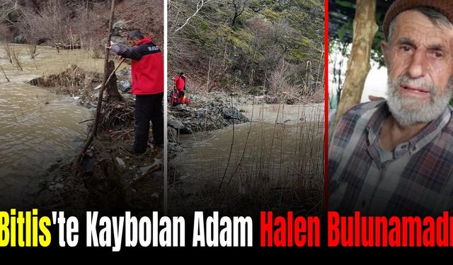 Bitlis'te Kaybolan Yaşlı Adamdan Halen Haber Alınamıyor