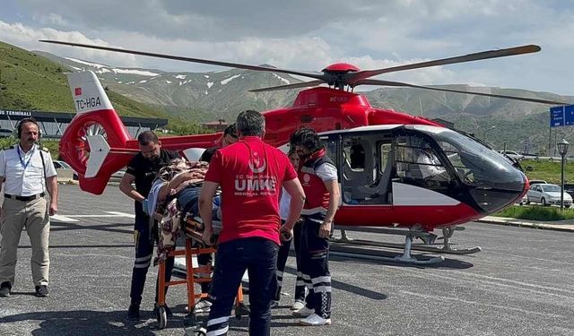 Bitlis'te arıların soktuğu adam hastanelik oldu