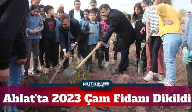Ahlat'ta 2023 Çam Fidanı, Yeşil Bir Geleceği Temsil Ediyor
