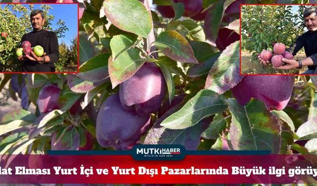 Ahlat Elması Yurt İçi ve Yurt Dışı Pazarlarında Büyük ilgi görüyor