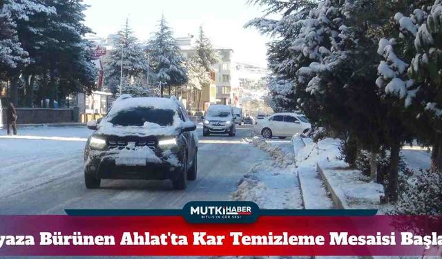 Beyaza Bürünen Ahlat'ta Kar Temizleme Mesaisi Başladı