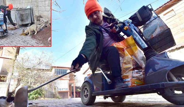 Ahlatlı Engelli Genç, 10 Yıldır Akülü Aracıyla Sokak Hayvanlarını Besliyor