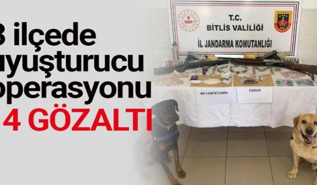 Bitlis'e bağlı 3 ilçede uyuşturucu operasyonu 14 gözaltı