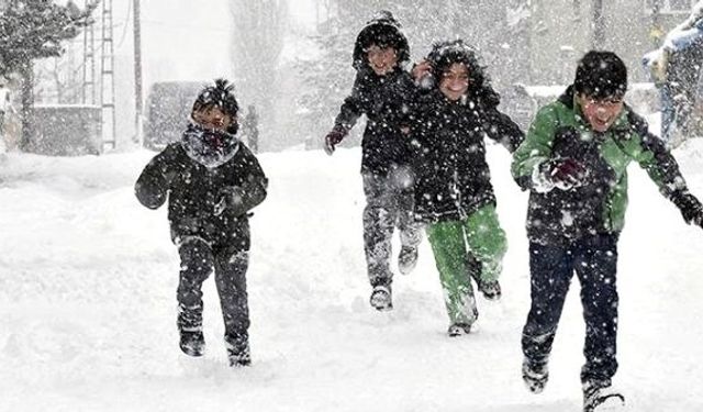 Bitlis'in 6 ilçesinde eğitime kar engeli