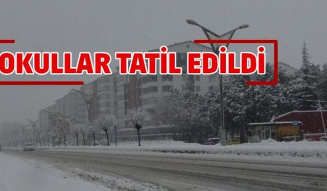 Bitlis'te 76 köy yolu kapalı okullar 2 gün tatil edildi