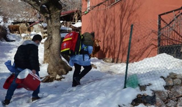 Bitlis’teki 85 yaş ve üstü vatandaşlar evlerinde aşılanıyor
