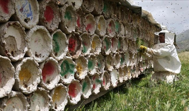 Arıcılar Bitlis'in zengin floryalı yaylalarında kaliteli bal üretiyor