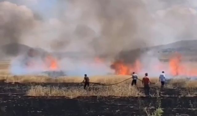 Van'da Tarım Arazisinde Yangın Çıktı