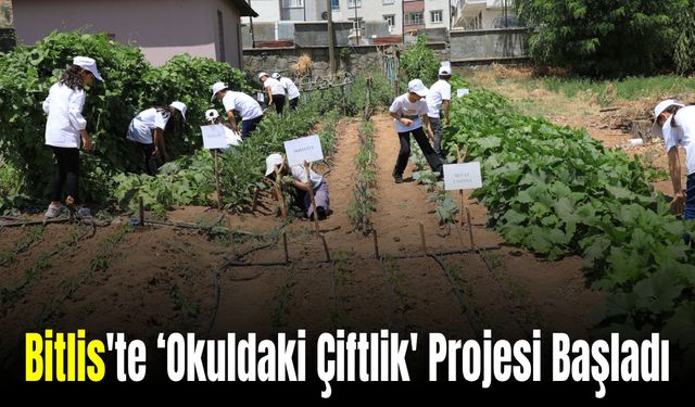 Bitlis'te Yatılı Bölge Okulu'nda ‘Okuldaki Çiftlik' Projesi Başladı
