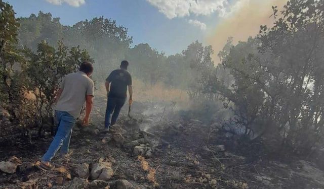 Diyarbakır'da Örtü Yangını Kontrol Altına Alınmaya Çalışılıyor