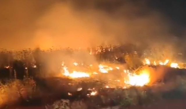 Van'da 4 Farklı Bölgede Yangın Çıktı