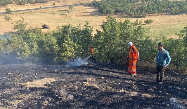 Orman ve Örtü Yangınları Kontrol Altına Alındı