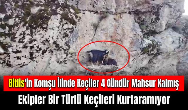 Bitlis'in Komşu İlinde Keçiler Kayalıklarda 4 Gün Mahsur Kaldılar