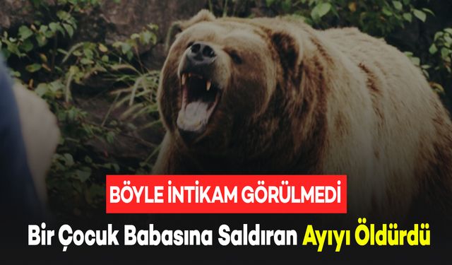 12 Yaşındaki Çocuk Babasına Saldıran Ayıyı Öldürdü