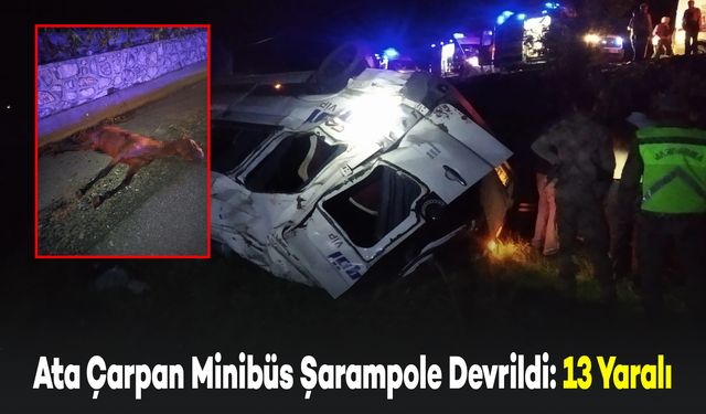 Ata Çarpan Minibüs Şarampole Devrildi: 2'si Ağır, 13 Yaralı