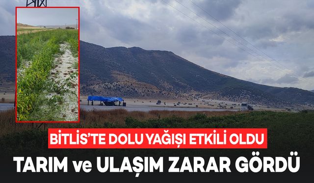 Bitlis'te Dolu Yağışı Tarım ve Ulaşımı Olumsuz Etkiledi