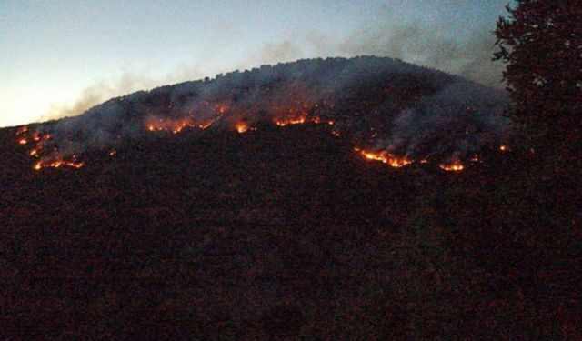 Bitlis’te 4 Ayrı Bölgede Çıkan Orman Yangını Kontrol Altına Alındı