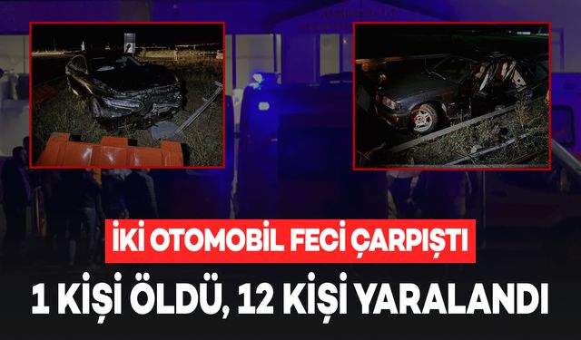 İki Otomobil Feci Çarpıştı: 1 Kişi Öldü, 2'si Ağır, 12 Kişi Yaralandı