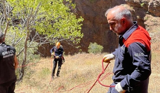 Kayalıklarda Mahsur Kalan 3 Keçi Kurtarıldı