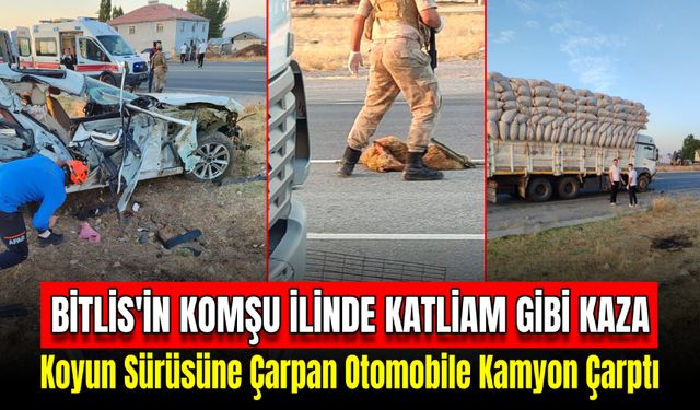 Otomobil Koyun Sürüsüne Çarptı, Kamyon Arkadan Otomobile Çarptı: 1 Ölü, 2 Yaralı