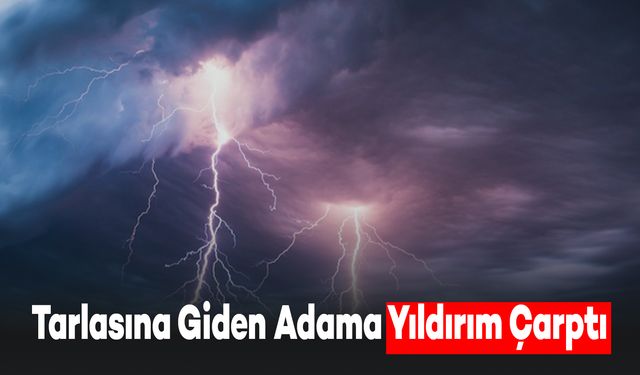 Tarlaya Giden Adama Yıldırım Çarptı: Adam yağır Yaralandı, Eşek Telef Oldu