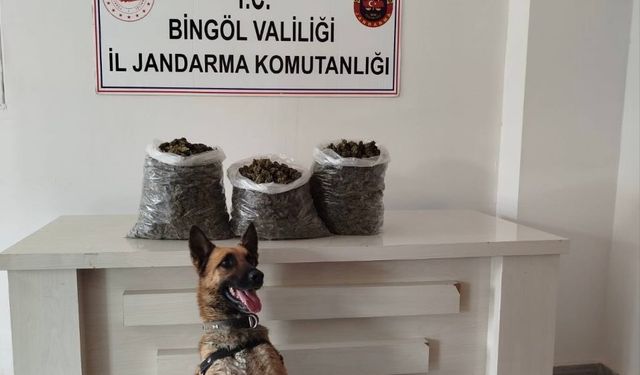 O İlde  6 Kilo 550 Gram Kubar Esrar Ele Geçirildi