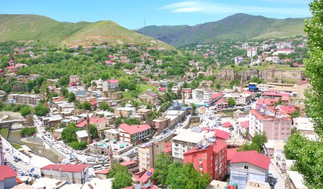 Bitlis ve İlçelerinde Yarın Elektrik Kesintisi Hangi Bölgelerde Olacak!