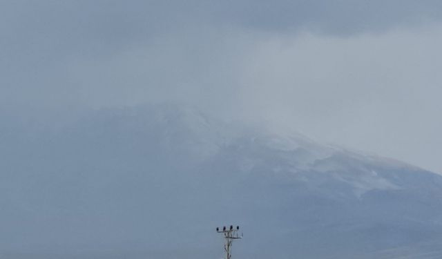 Adilcevaz'da Süphan Dağı'nın Zirvesi Beyaza Büründü