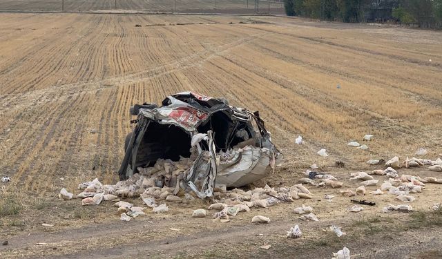 Bitlis'te Lastiği Patlayan Minibüs Şarampole Uçtu: 2 Yaralı