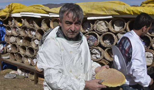 Bitlis’te Dünya Çapında Ödüllü Karakovan Balının Hasadı Devam Ediyor