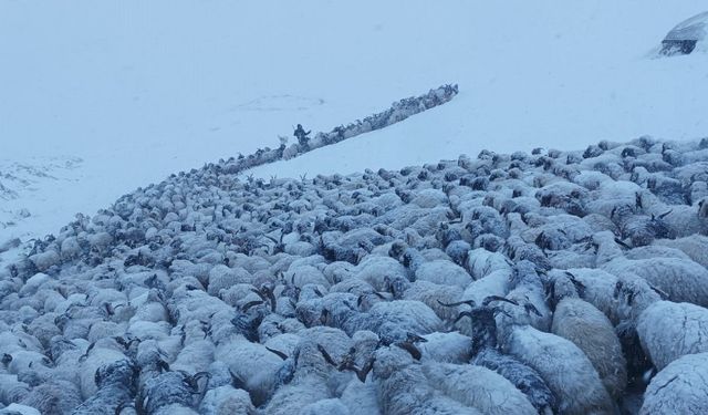 Başkale’de Kar Yağışında Yollar Kapandı