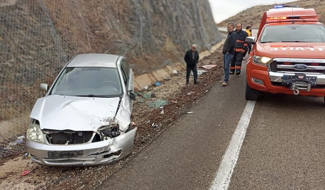 Kontrolünü Kaybeden Otomobil Yol Kenarına Devrildi: 1 Yaralı