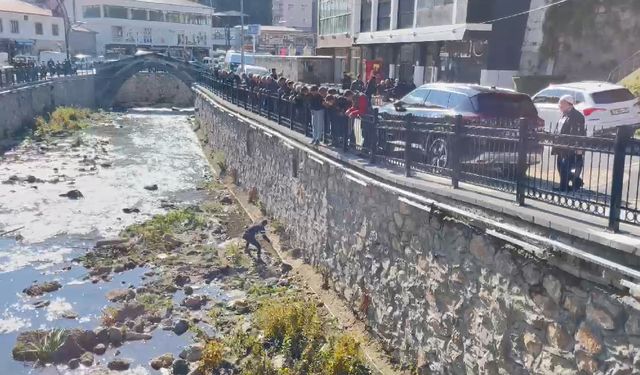 Bitlis Deresinde Vatandaşın Keklikle İmtihanı!