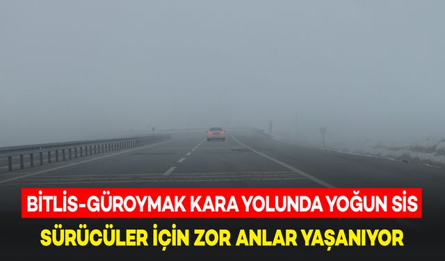 Bitlis-Güroymak Karayolunda Yoğun Sis: Sürücüler Zorluk Çekiyor