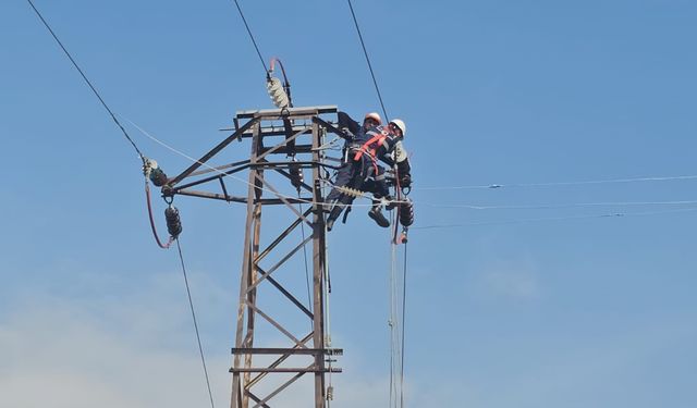 VEDAŞ'tan Bitlis'te Kış Öncesi Enerji Hattı Bakımı