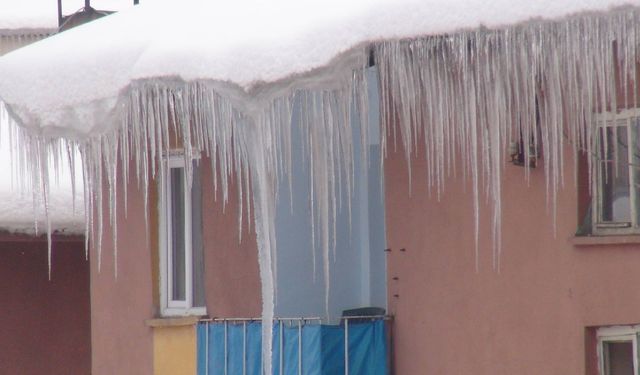 Meteoroloji Bitlis'i Saat Vererek Uyardı: Eksi 12 Dereceyi Görecek!