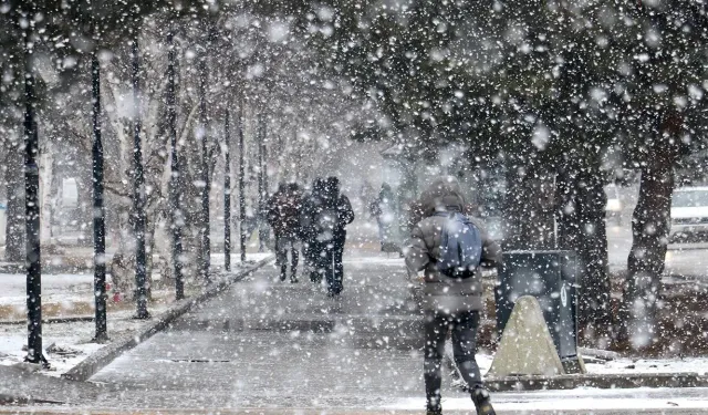 Doğu Bölgesinde Kar Yağışı Etkili Oldu