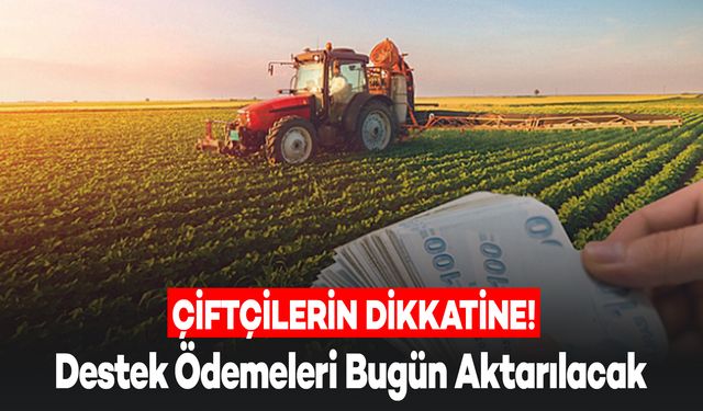 Tarımsal Destek Ödemeleri Bugün Çiftçilerin Hesaplarında