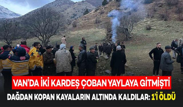 Van’da Dağdan Düşen Kaya Parçalarının Altında Kalan İki Çobandan Biri Öldü