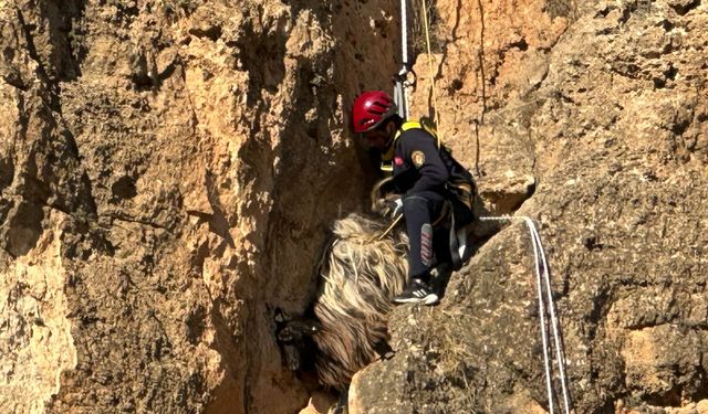 Kayalıklarda Mahsur Kalan Keçi, İtfaiye Ekiplerince Kurtarıldı