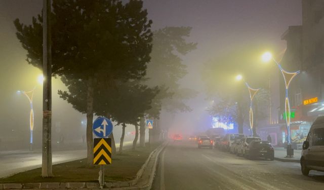 Bitlis'te Yoğun Sis Etkili Oldu: Görüş Mesafesi 10 Metreye Kadar Düştü