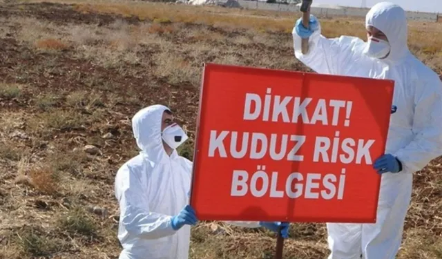 Bölge İlin Bir Köyünde Kuduz Nedeniyle Karantinaya Alındı