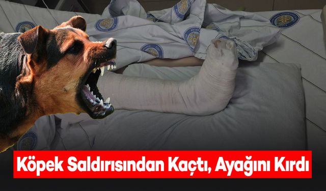 Köpek Saldırısından Kaçan 12 Yaşındaki Çocuk Ayağını Kırdı