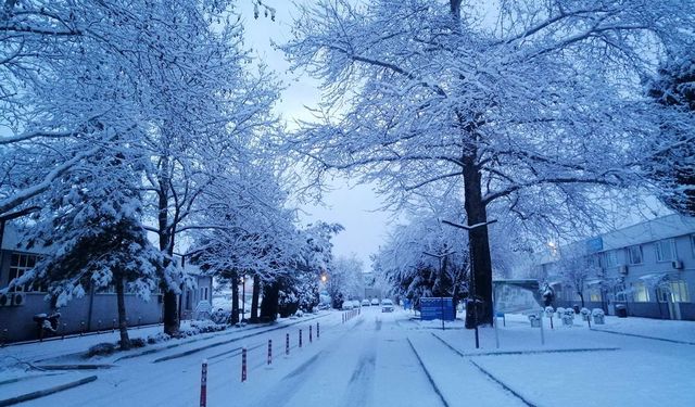 3 Kentte Yoğun Kar Yağış Bekleniyor