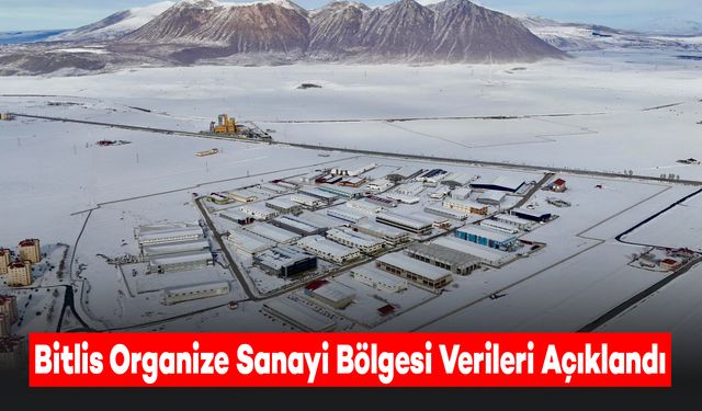 Bitlis Organize Sanayi Bölgesi 2024 Yılı Verileri Açıklandı