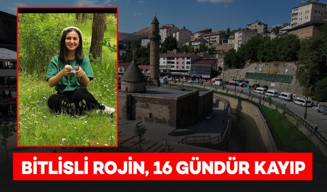 Bitlisli Üniversite Öğrencisi Rojin, 16 Gündür Kayıp