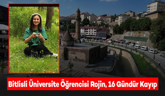 Bitlisli Üniversite Öğrencisi Rojin, 16 Gündür Kayıp