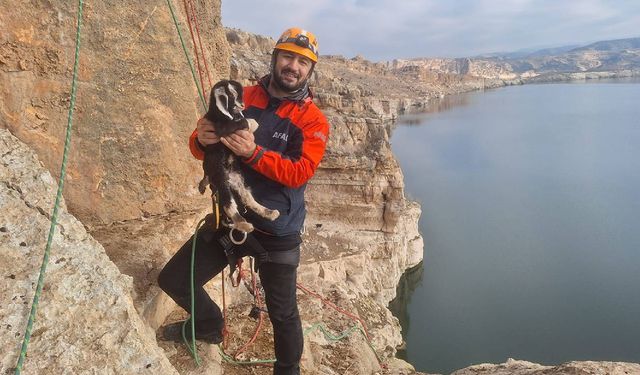 Zorlu Araziye Rağmen Kayalıklarda Mahsur Kalan 20 Keçi Kurtarıldı