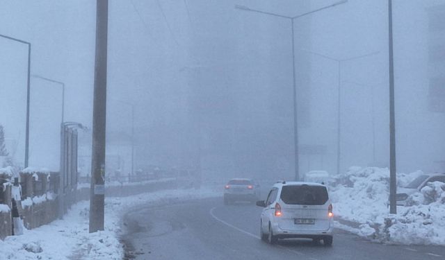 Bitlis’te yoğun sis görüş mesafesini düşürdü