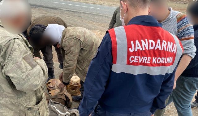Jandarma Kaçak Avcılara Göz Açtırmıyor: 10 Kişi Suçüstü Yakalandı